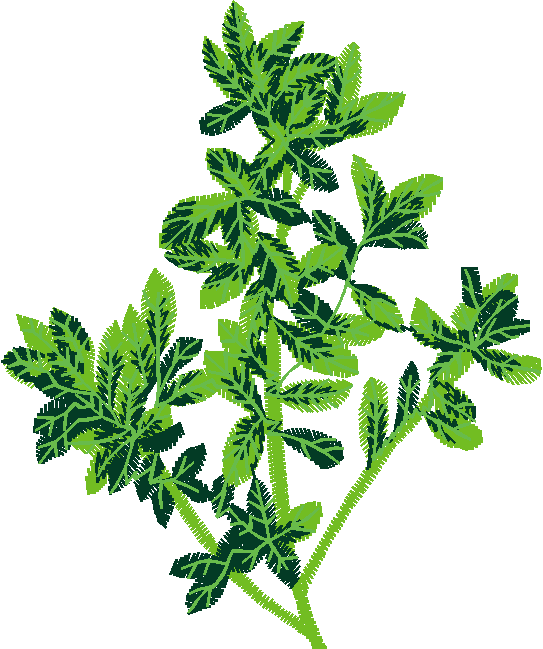 Fruit & Vegetables 18  (6)