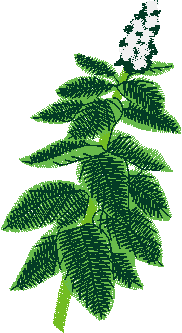 Fruit & Vegetables 18  (7)