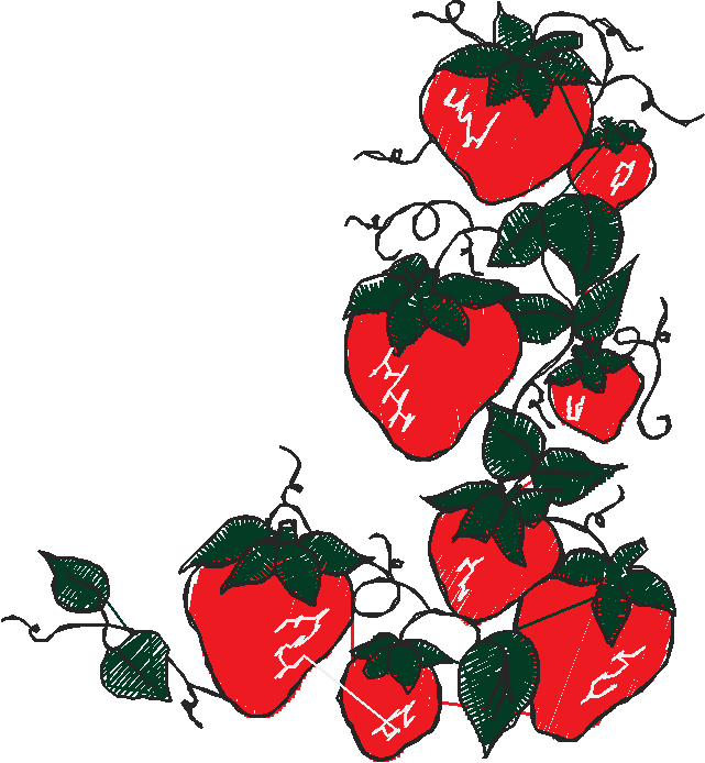 Fruit & Vegetables 19  (5)