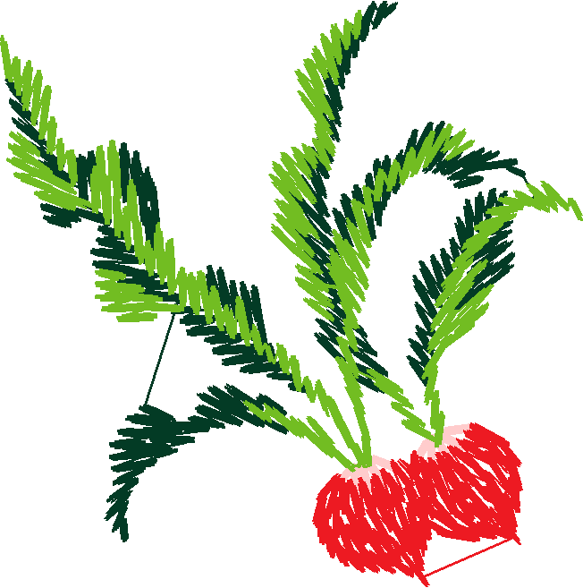 Fruit & Vegetables 2  (17)