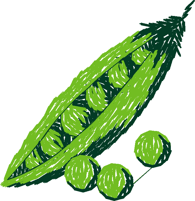 Fruit & Vegetables 2  (20)