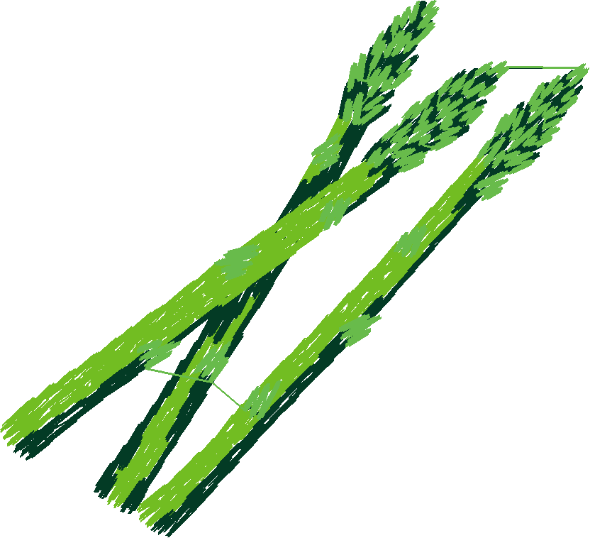 Fruit & Vegetables 2  (21)