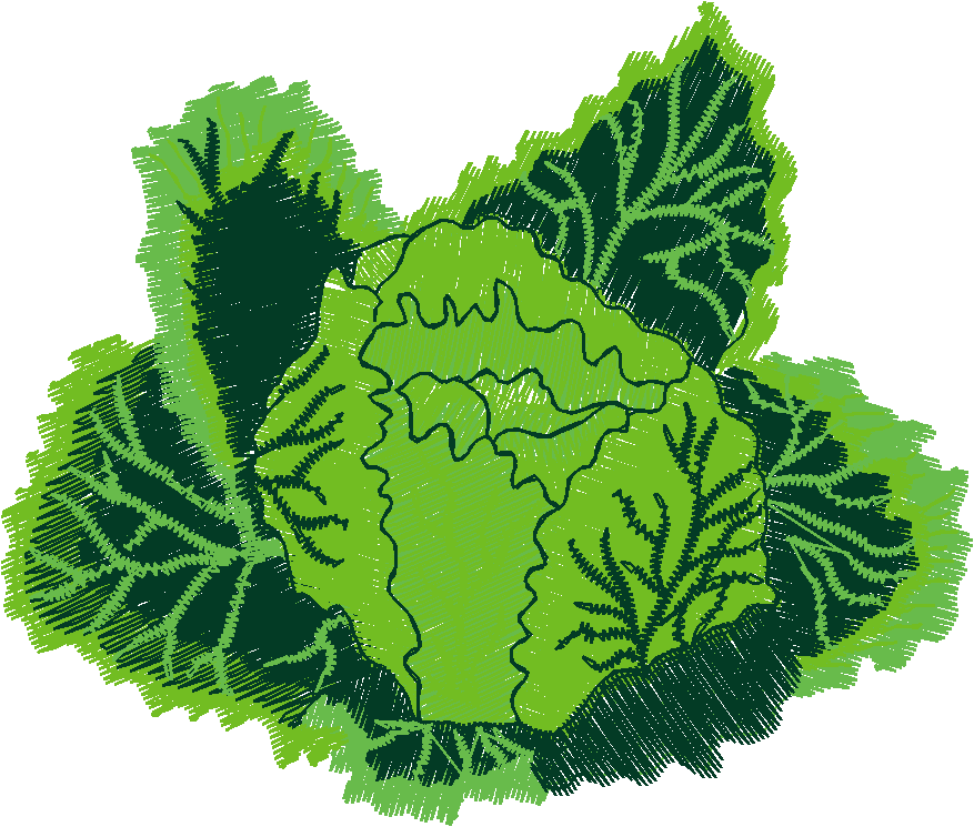 Fruit & Vegetables 20 (10)