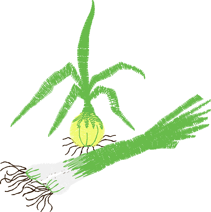 Fruit & Vegetables 20 (12)