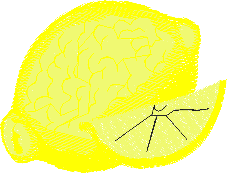 Fruit & Vegetables 20 (16)