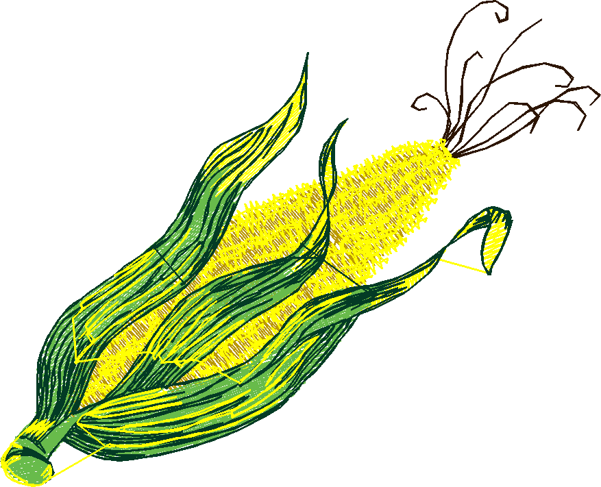 Fruit & Vegetables 20 (5)