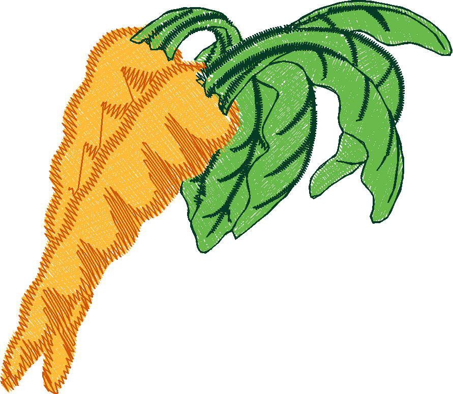 Fruit & Vegetables 20 (7)