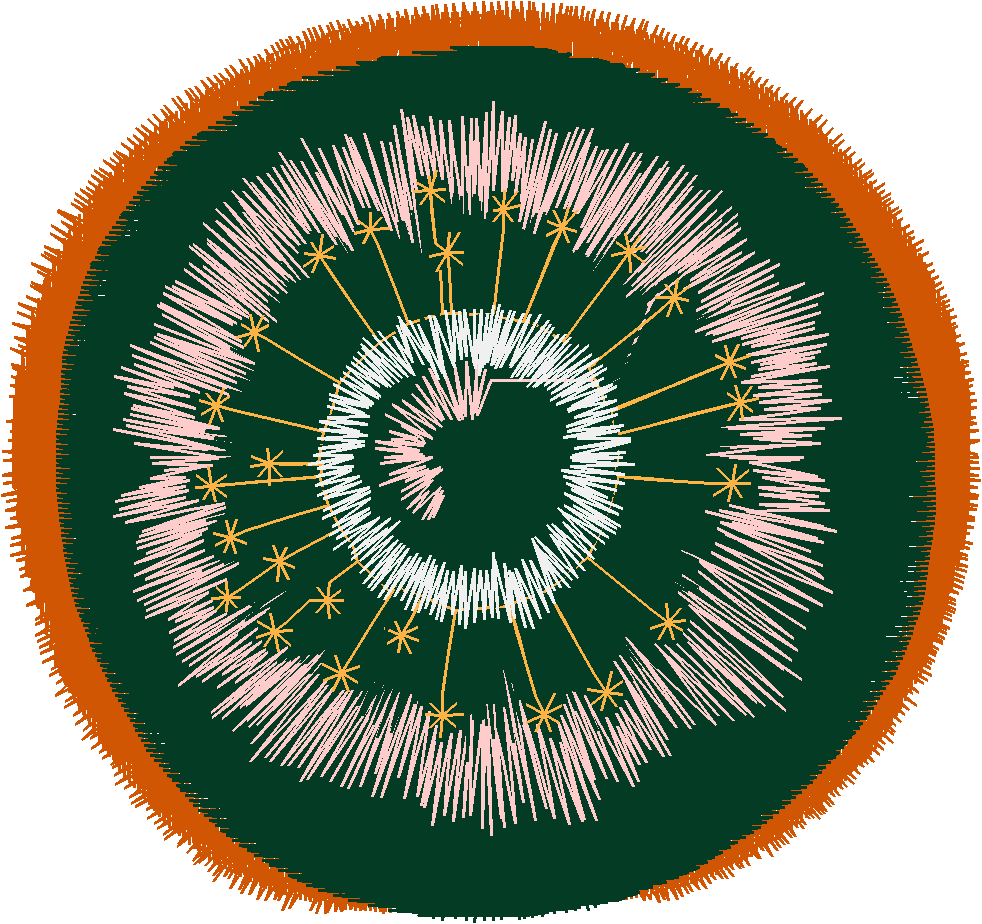 Fruit & Vegetables 4  (12)