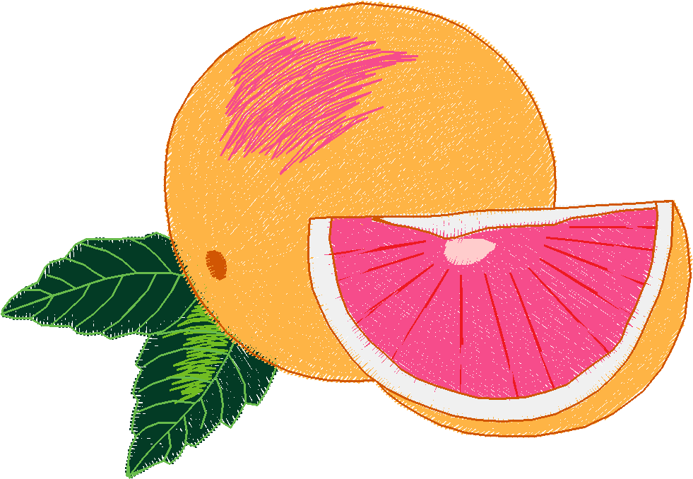 Fruit & Vegetables 4  (15)