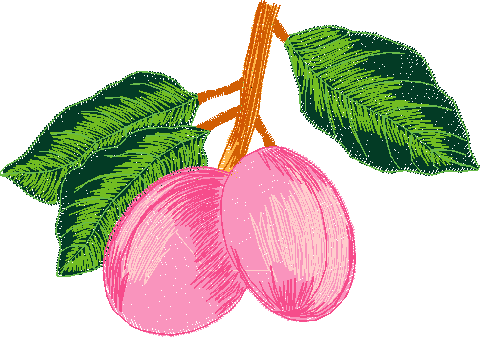 Fruit & Vegetables 4  (18)