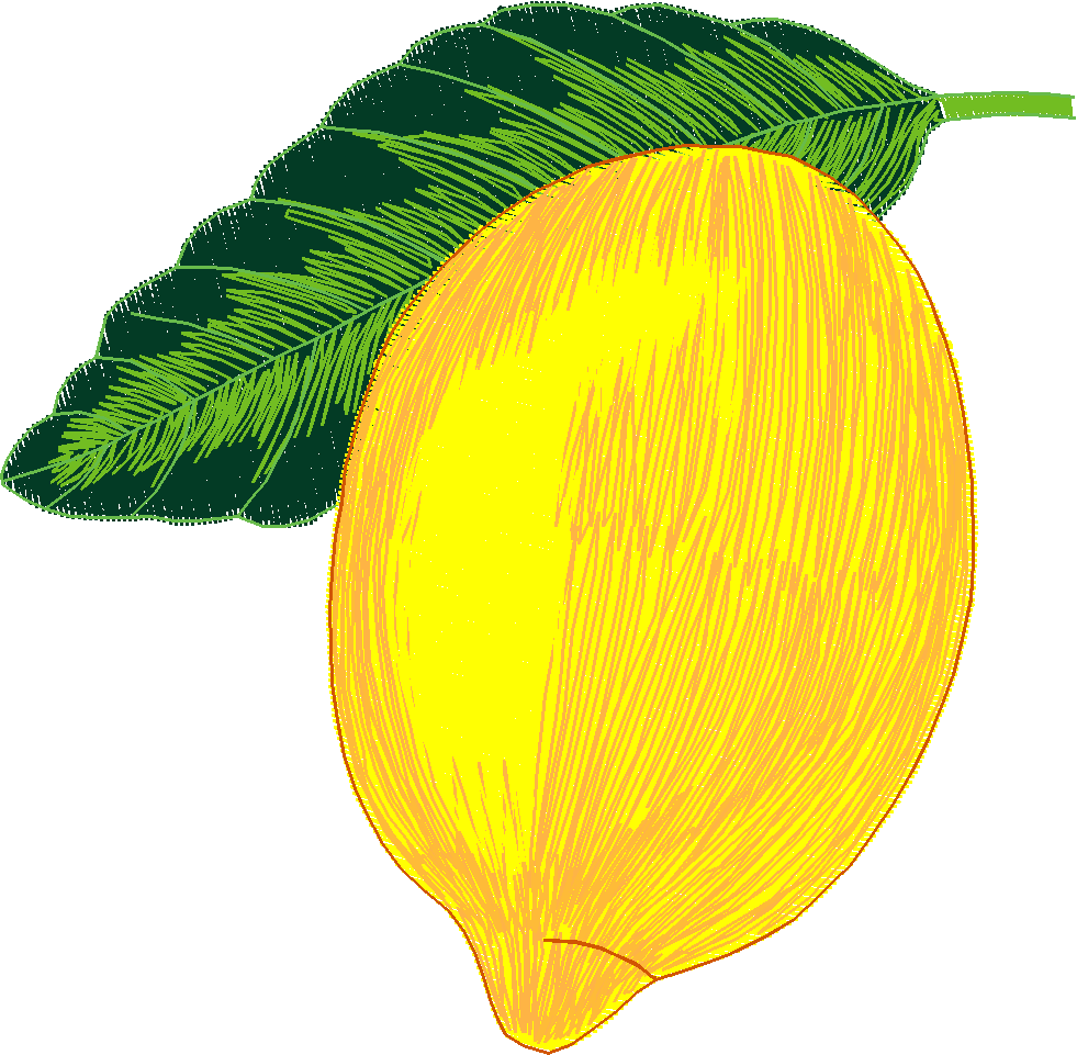 Fruit & Vegetables 4  (2)