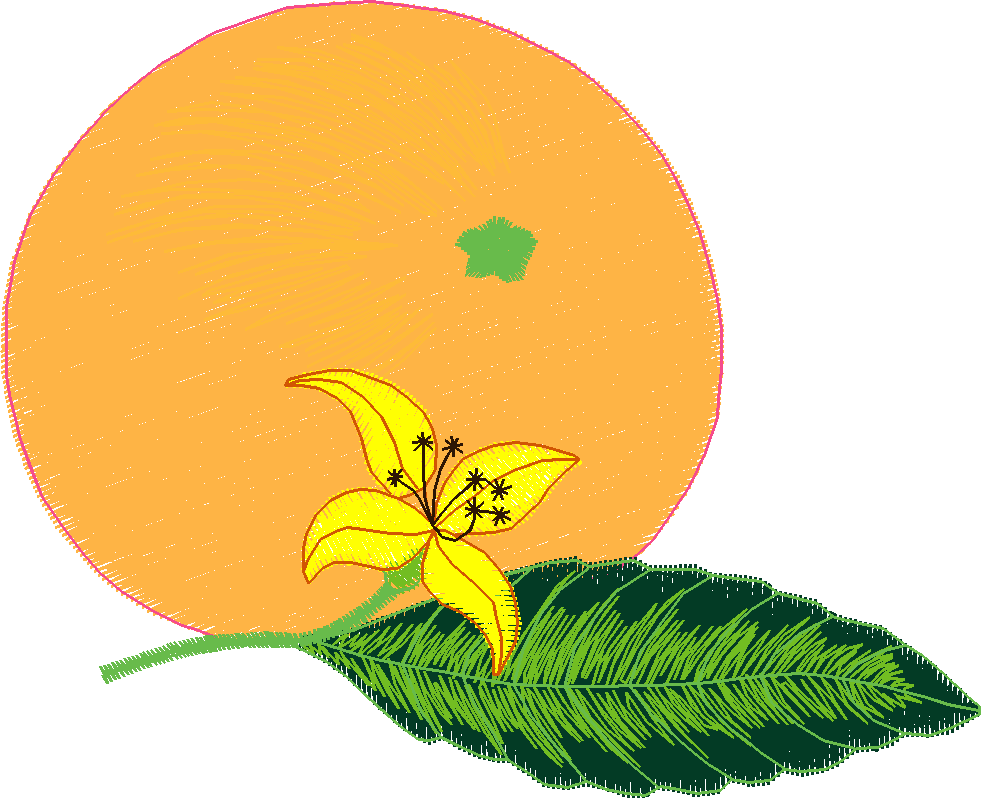 Fruit & Vegetables 4  (20)