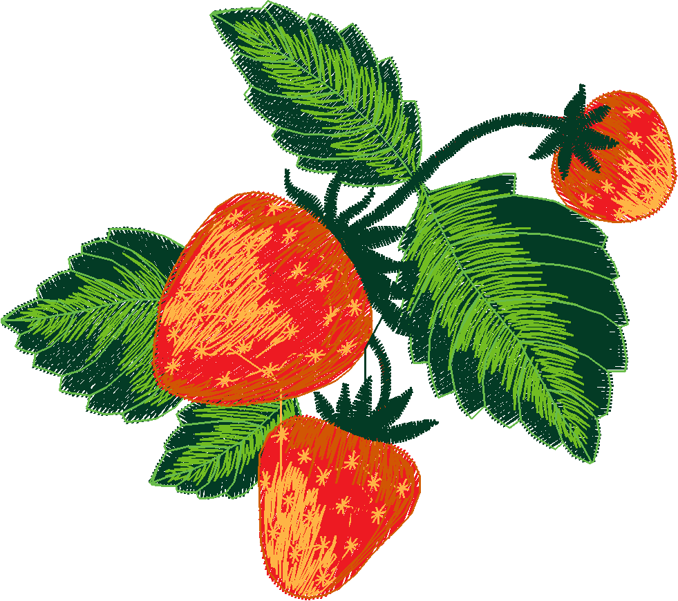 Fruit & Vegetables 4  (3)