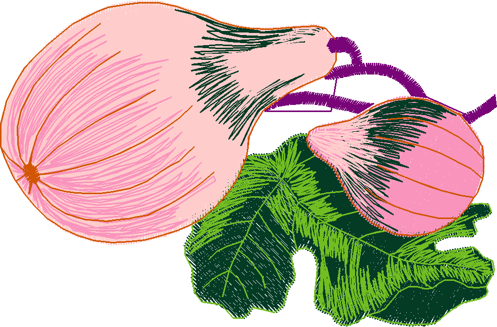 Fruit & Vegetables 4  (4)