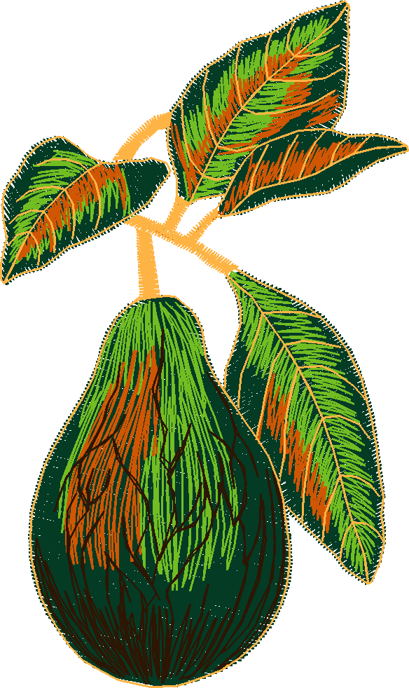 Fruit & Vegetables 4  (5)