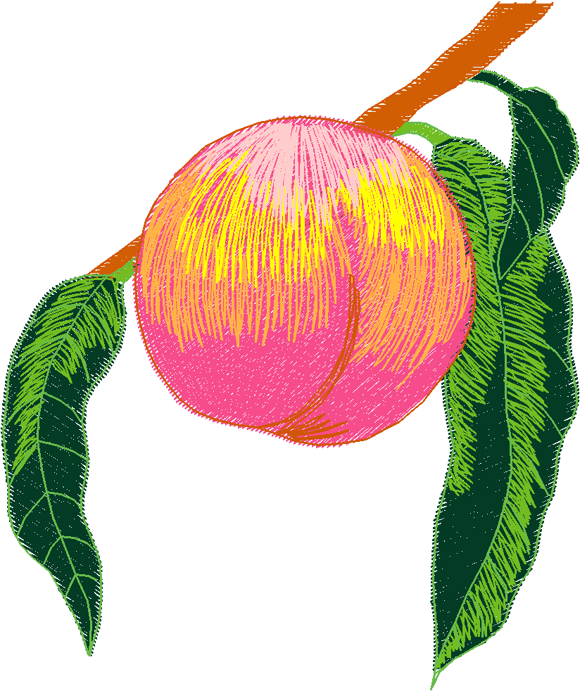 Fruit & Vegetables 4  (6)