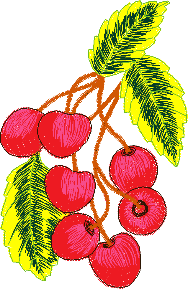 Fruit & Vegetables 4  (8)