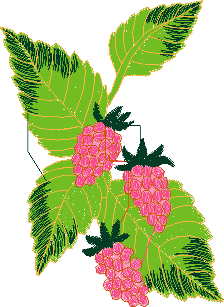 Fruit & Vegetables 4  (9)