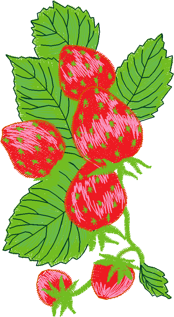 Fruit & Vegetables 5  (1)