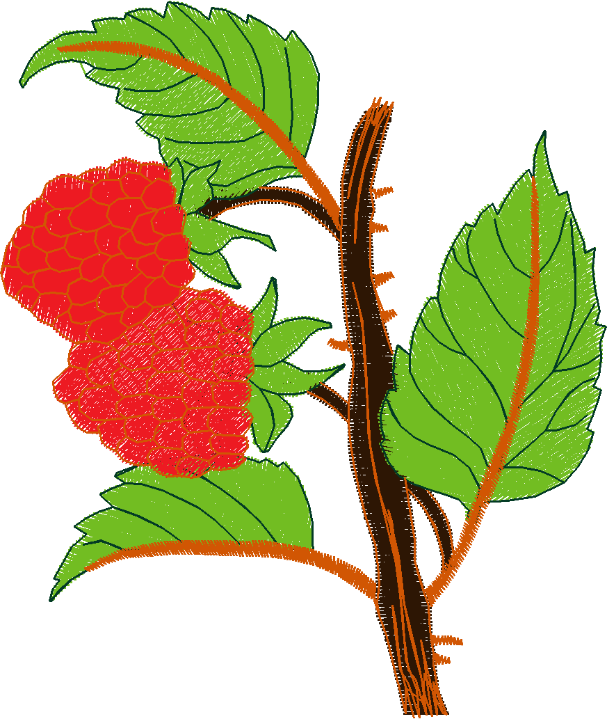 Fruit & Vegetables 5  (11)