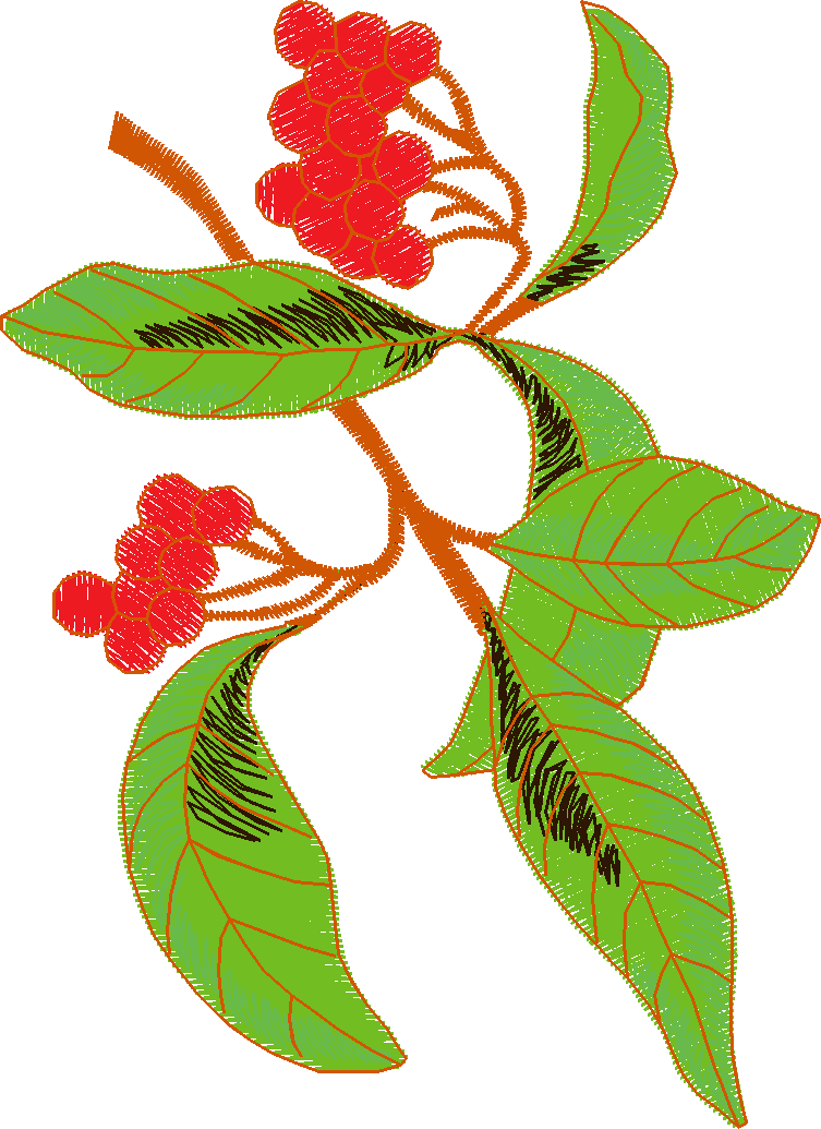 Fruit & Vegetables 5  (15)