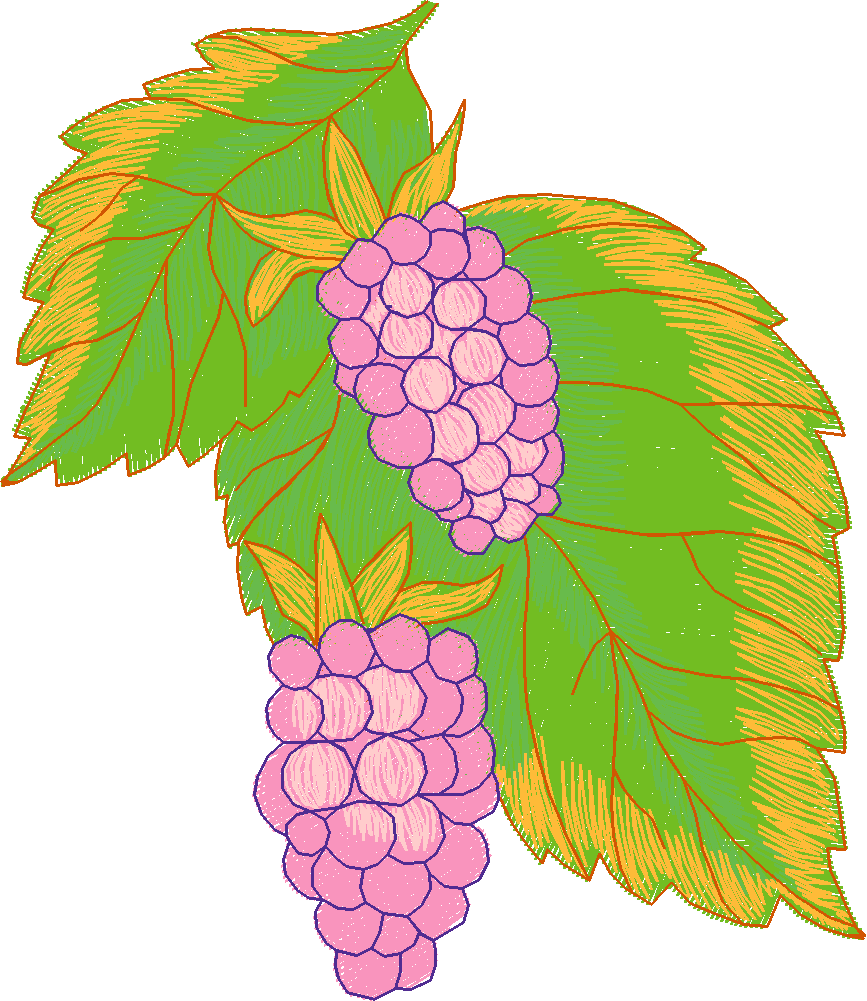 Fruit & Vegetables 5  (16)