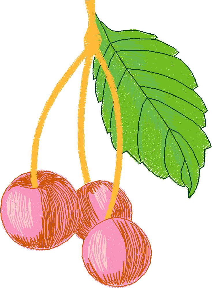 Fruit & Vegetables 5  (18)