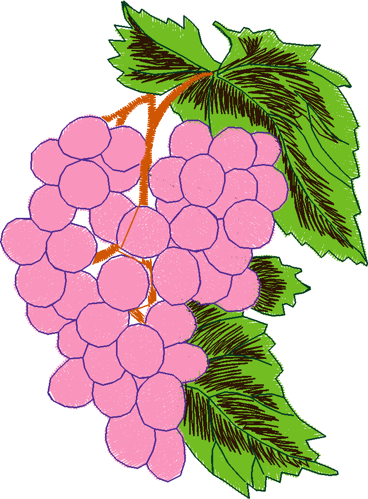 Fruit & Vegetables 5  (2)