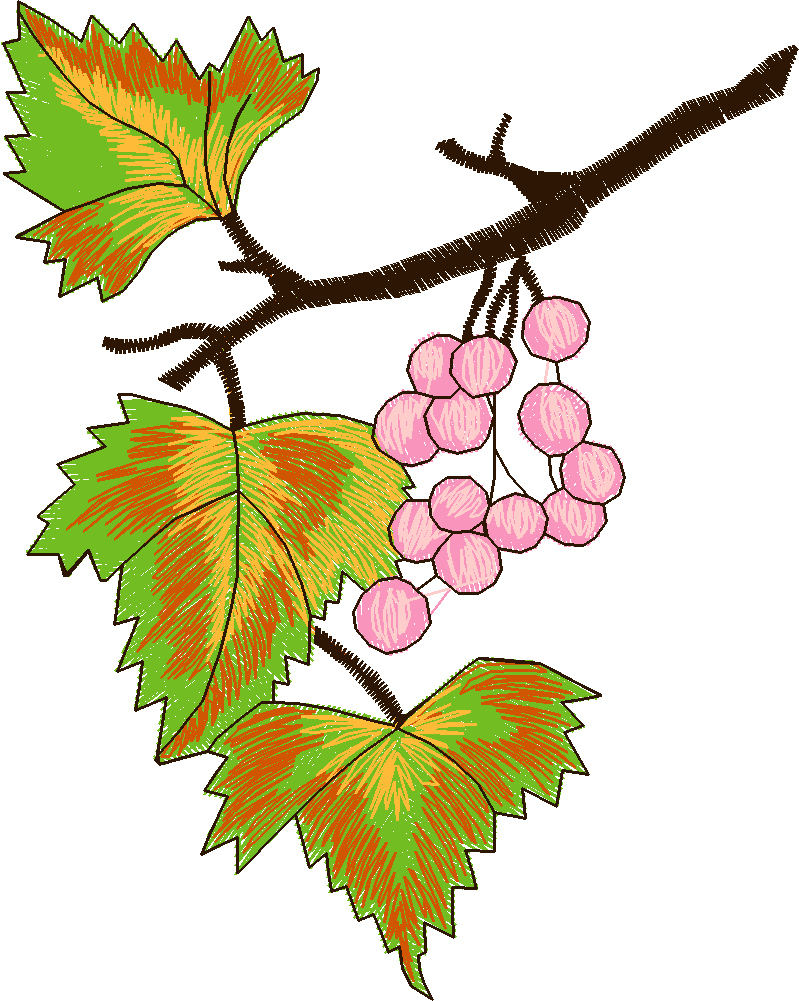 Fruit & Vegetables 5  (20)