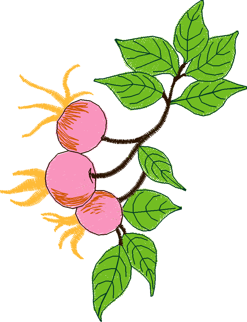 Fruit & Vegetables 5  (3)