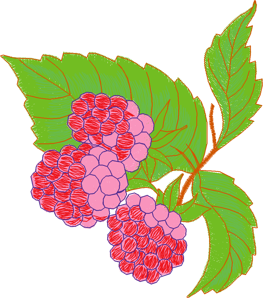 Fruit & Vegetables 5  (4)