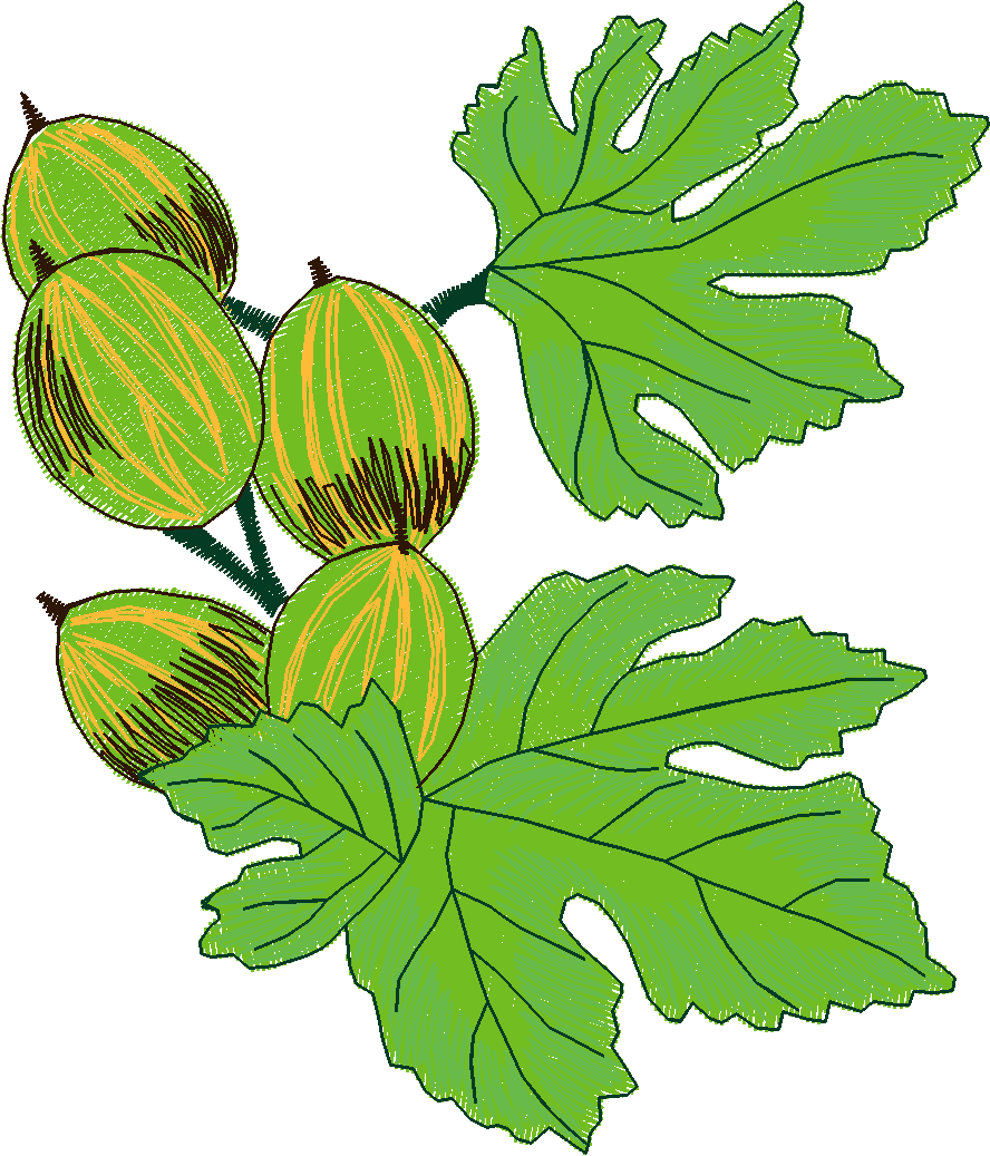 Fruit & Vegetables 5  (5)