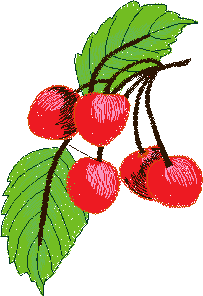 Fruit & Vegetables 5  (7)