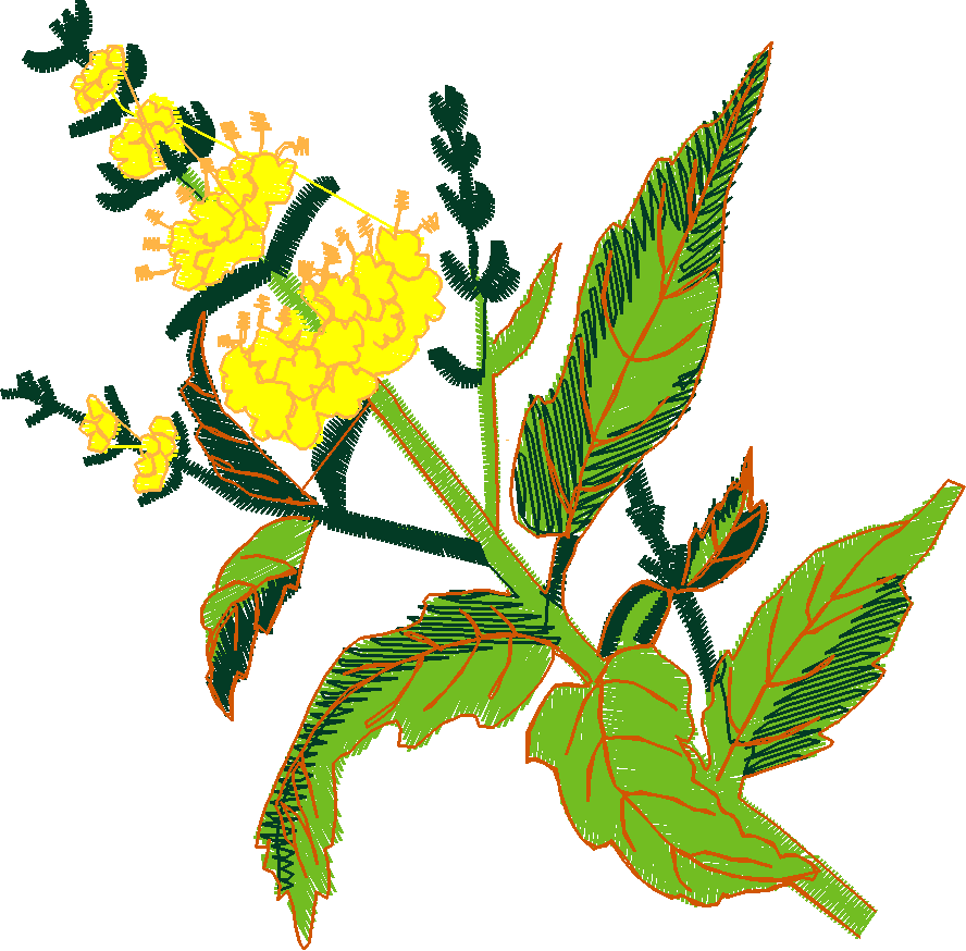 Fruit & Vegetables 6  (1)