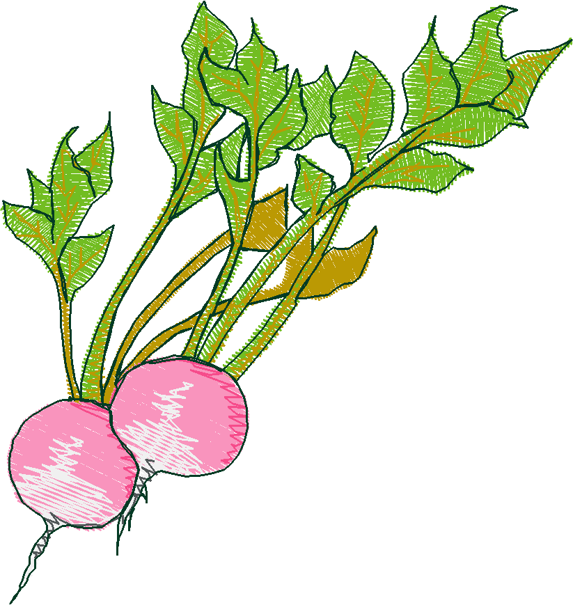 Fruit & Vegetables 6  (16)