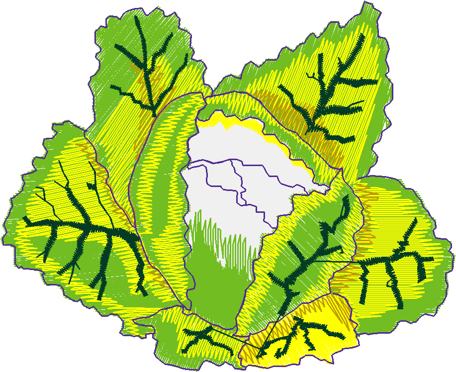 Fruit & Vegetables 6  (20)