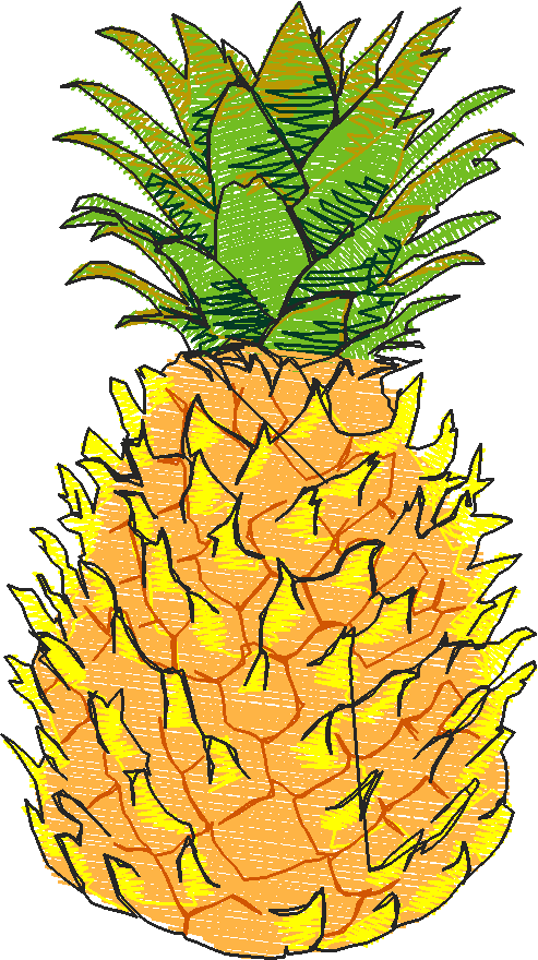 Fruit & Vegetables 6  (22)