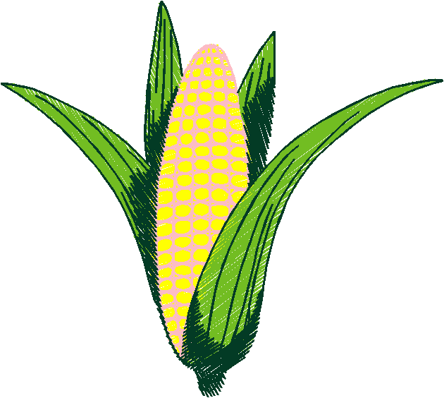 Fruit & Vegetables 6  (27)