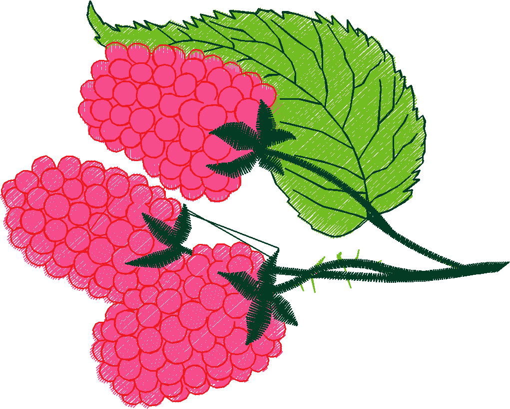 Fruit & Vegetables 6  (29)