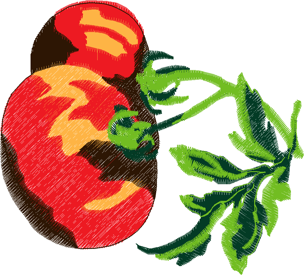 Fruit & Vegetables 6  (31)