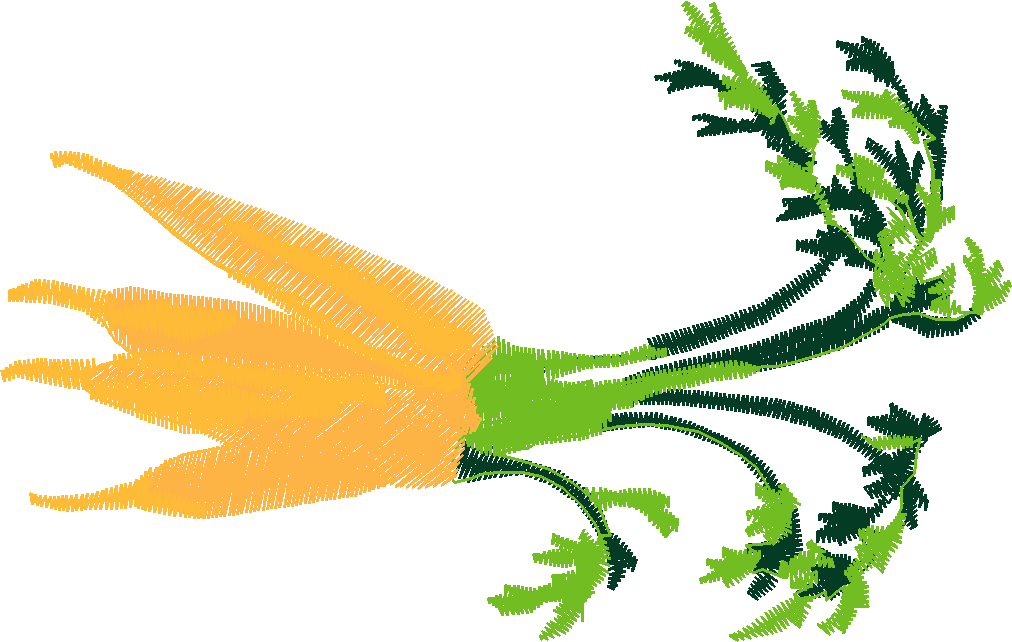 Fruit & Vegetables 6  (32)