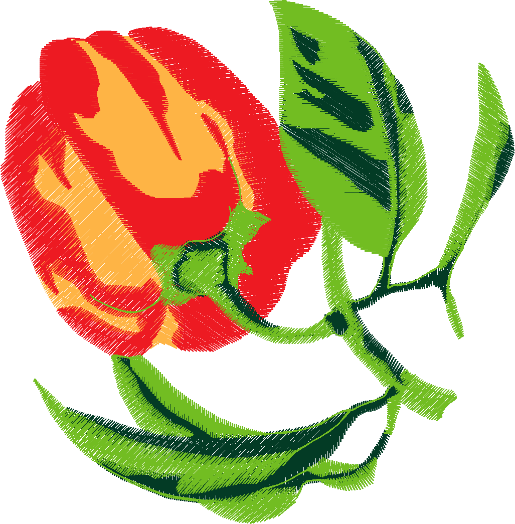 Fruit & Vegetables 6  (33)