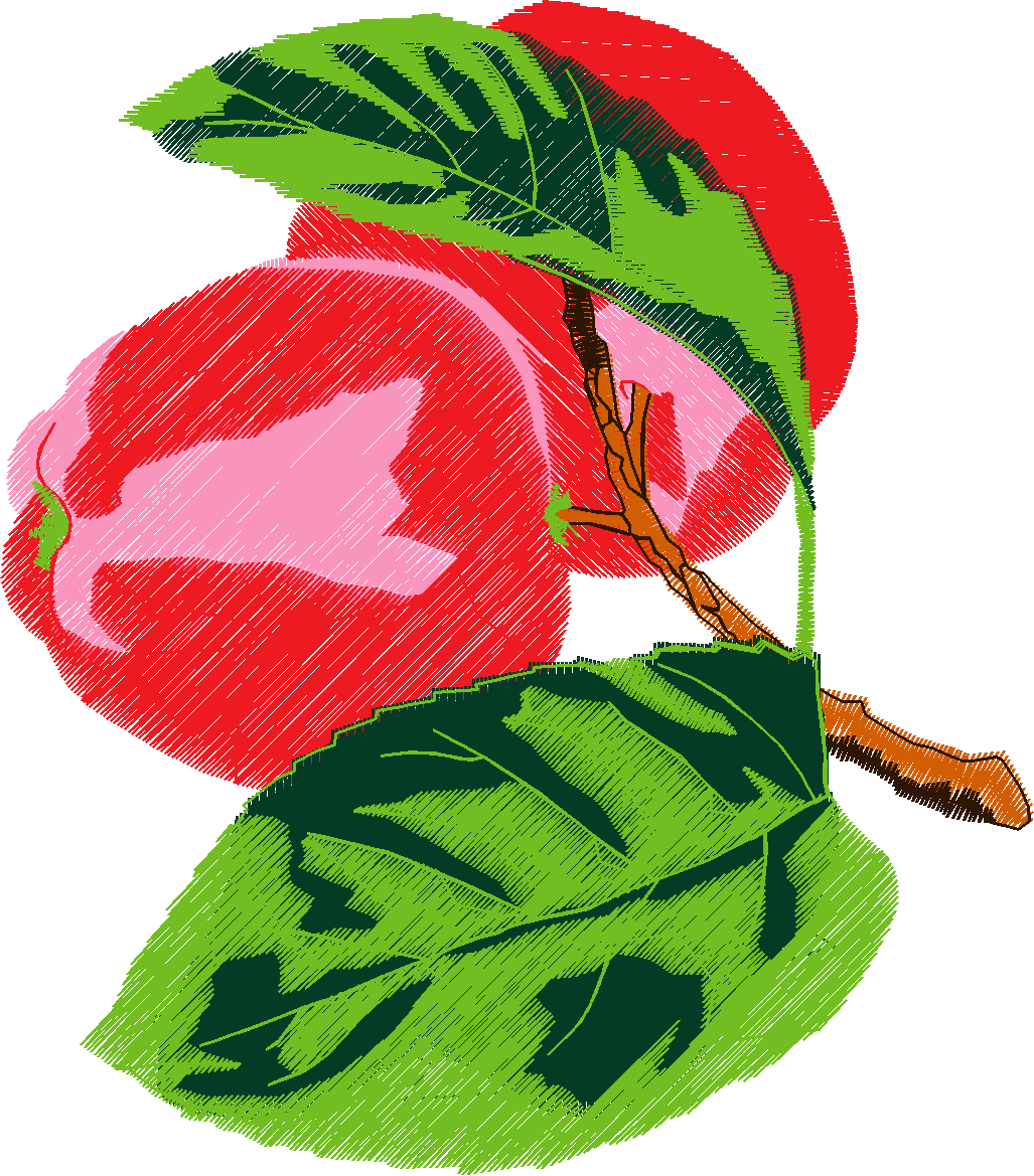 Fruit & Vegetables 6  (34)