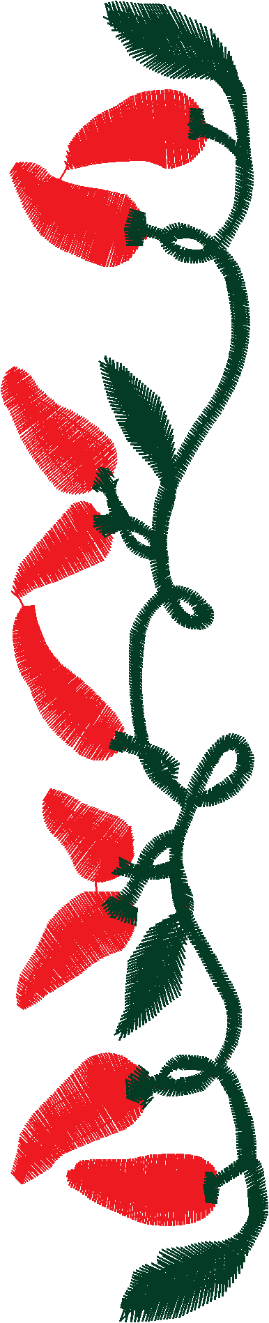 Fruit & Vegetables 6  (35)