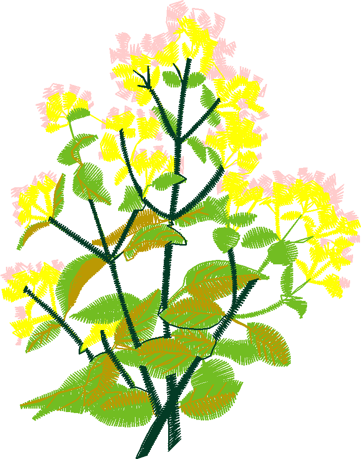 Fruit & Vegetables 6  (6)