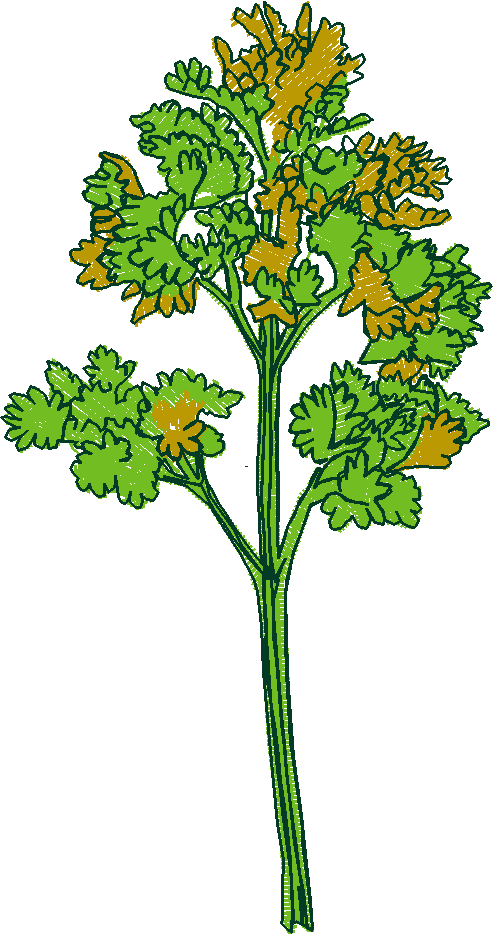 Fruit & Vegetables 6  (8)