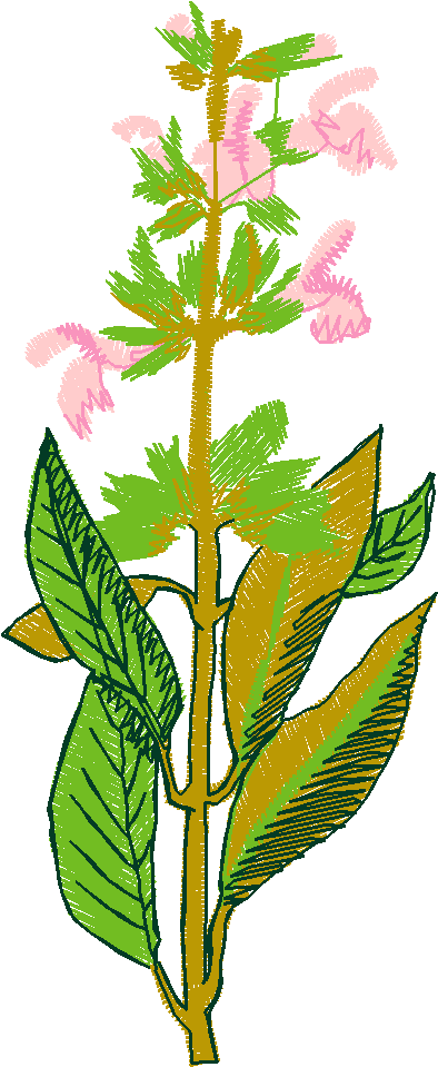 Fruit & Vegetables 6  (9)