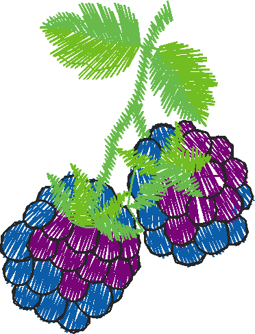 Fruit & Vegetables 8 (1)