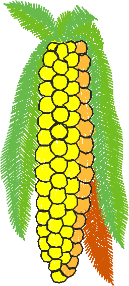 Fruit & Vegetables 8 (10)