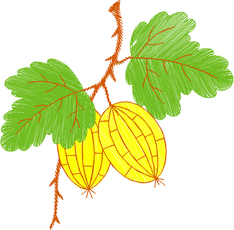 Fruit & Vegetables 8 (14)